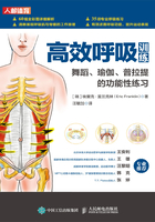 高效呼吸训练：舞蹈、瑜伽、普拉提的功能性练习在线阅读