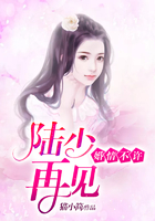 婚情不许：陆少，再见在线阅读