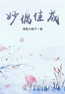 妙偶佳成