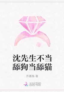 沈先生不当舔狗当舔猫