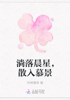 淌落晨星,散入慕景在线阅读