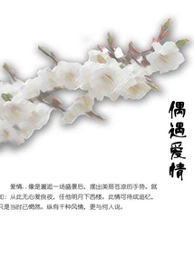 偶遇愛(ài)情