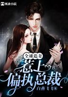 全球追妻:惹上偏执总裁