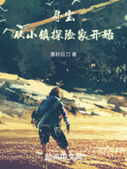 寻宝:从小镇探险家开始在线阅读