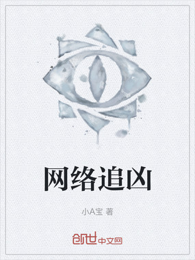 网络追凶在线阅读