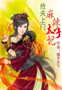搶夫上門：麻辣太子妃