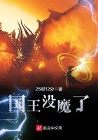 國王沒魔了在線閱讀