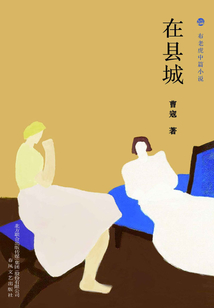 在县城(布老虎中篇小说)
