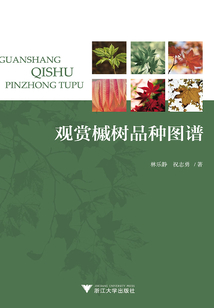 觀賞槭樹品種圖譜