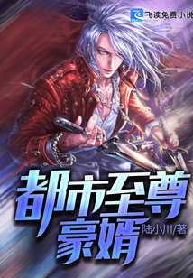 都市至尊豪婿