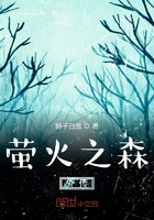 萤火之森外传