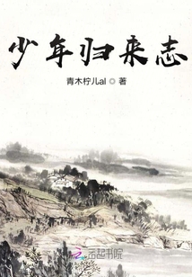 少年歸來志