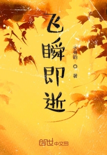 飛瞬即逝