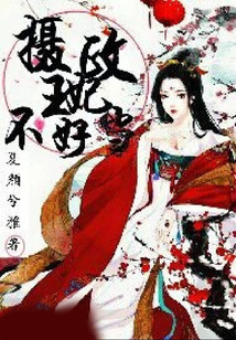 攝政王妃不好當
