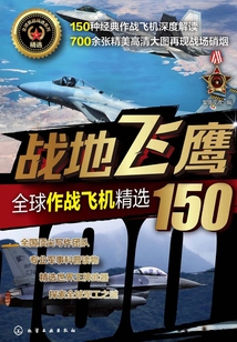 戰(zhàn)地飛鷹:全球作戰(zhàn)飛機(jī)精選150