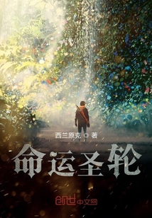 命運圣輪