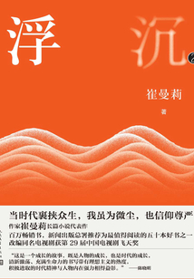 浮沉2（白百何、張嘉譯主演同名電視劇原著）