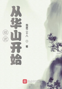 綜武從華山開始