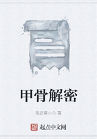 甲骨解密在线阅读