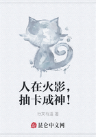 人在火影,抽卡成神!在线阅读