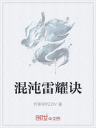 混沌雷耀诀在线阅读
