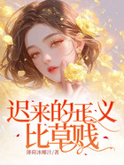 迟来的正义比草贱在线阅读