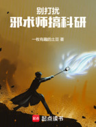 别打扰邪术师搞科研在线阅读