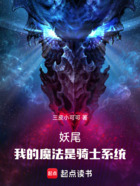 妖尾:我的魔法是骑士系统在线阅读
