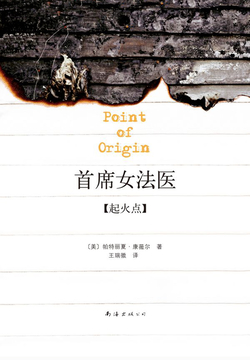 《首席女法医09：起火点》封面
