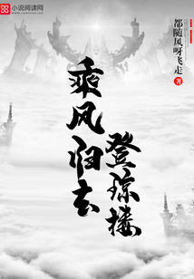 乘風歸去登瓊樓