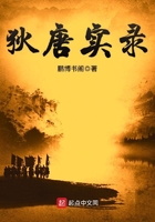 狄唐實錄在線閱讀