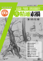 7天精通素描：美丽风景在线阅读