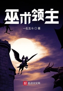 巫术领主 cover