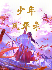 少年風華錄
