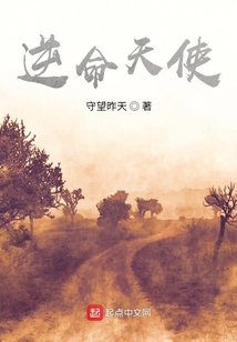 逆命天使