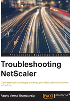 Troubleshooting NetScaler在线阅读