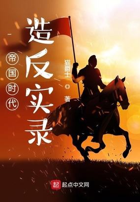 帝国时代造反实录在线阅读