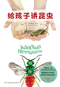 给孩子讲昆虫 封面
