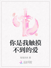 你是我觸摸不到的愛
