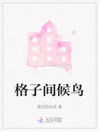 格子间候鸟在线阅读