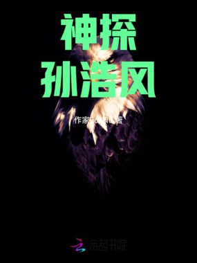 神探孙浩风在线阅读