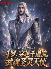 斗罗:穿越千道流,武魂圣灵天使 封面