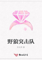 野狼突擊隊在線閱讀