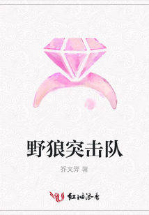 野狼突擊隊