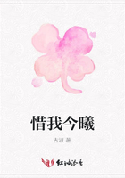 惜我今曦在線閱讀
