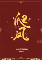 爬——凤在线阅读