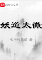 妖道太微在線閱讀
