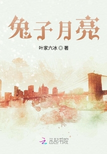 兔子月亮