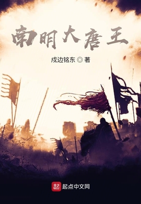 南明大唐王在线阅读