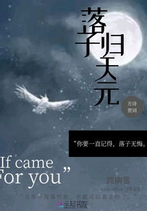 棋魂之落子歸天元